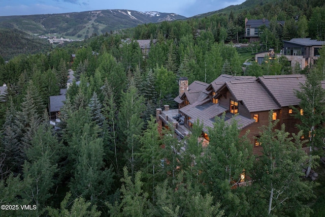 158 Holden Rd, Beaver Creek, CO 81620 - photo 3