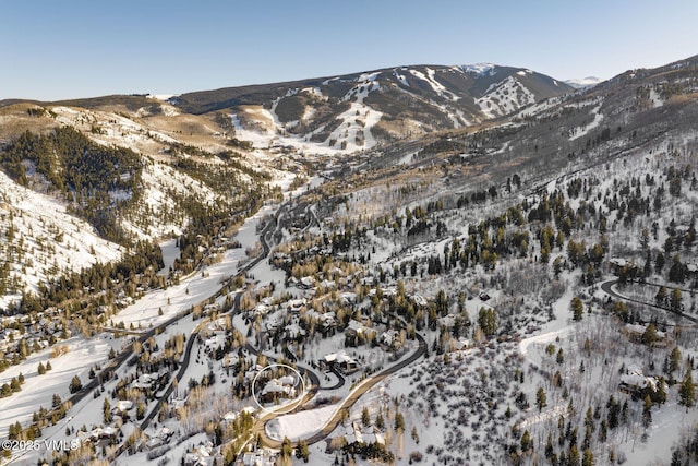 158 Holden Rd, Beaver Creek, CO 81620 - photo 71
