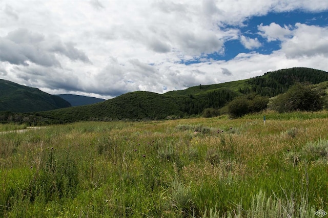 0270 Squires Ln, Eagle, CO 81631 - photo 5