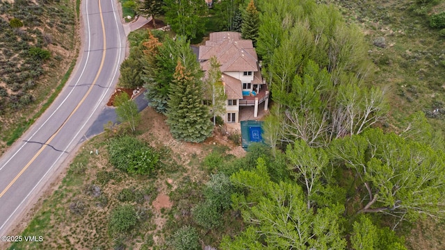 220 Singletree Rd, Edwards, CO 81632 - view from above of property