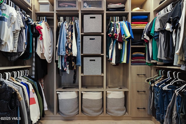 220 Singletree Rd, Edwards, CO 81632 - view of spacious closet
