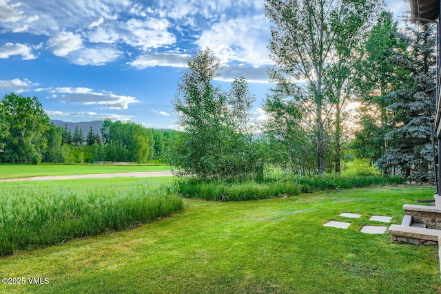 44 Conestoga Cir, Edwards, CO 81632 - view of grassy yard with a view of trees and a mountain view