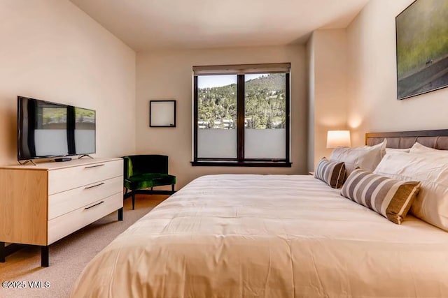 bedroom featuring carpet floors