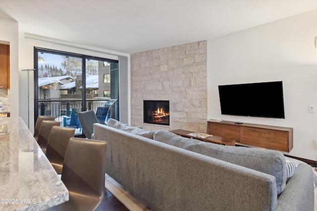 living room featuring wood finished floors and a fireplace