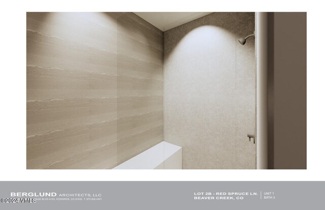 46 Red Spruce Ln Unit 1, Beaver Creek, CO 81620 - view of bathroom