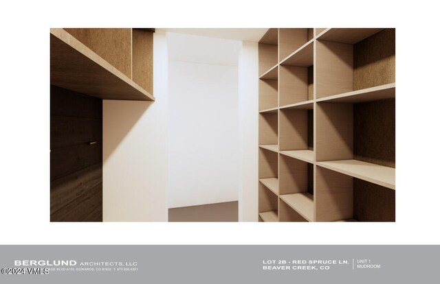 46 Red Spruce Ln Unit 1, Beaver Creek, CO 81620 - view of walk in closet