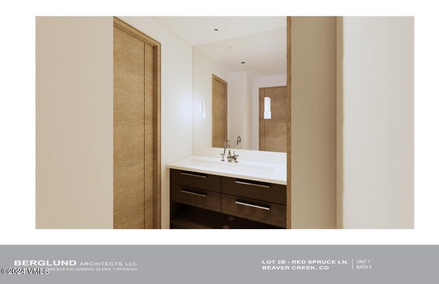 46 Red Spruce Ln Unit 1, Beaver Creek, CO 81620 - bathroom featuring vanity