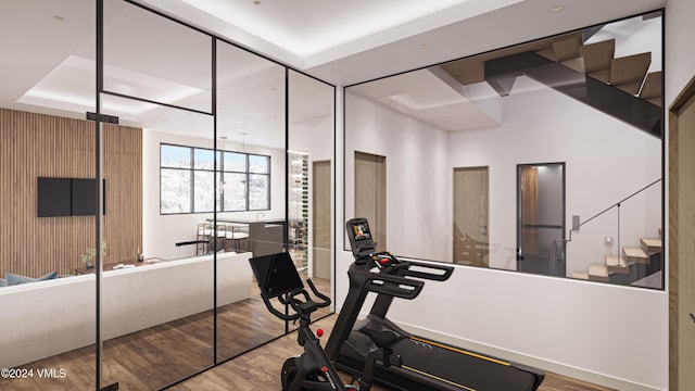 workout area with a raised ceiling and hardwood / wood-style floors