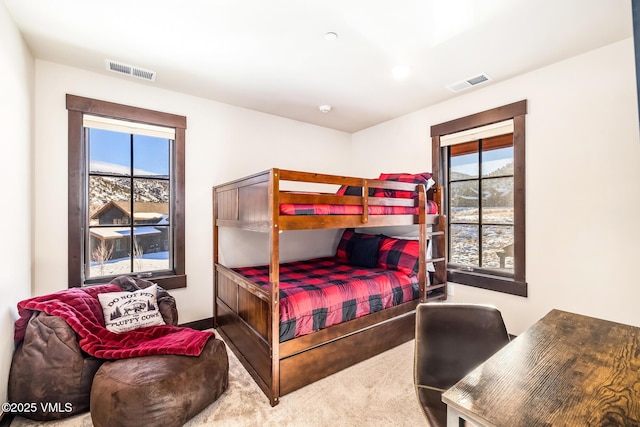 481 Hunters View Ln, Eagle, CO 81631 - carpeted bedroom featuring multiple windows
