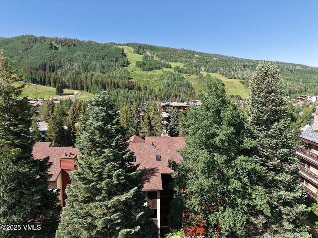442 S Frontage Rd E Unit 306B, Vail, CO 81657 - photo 2
