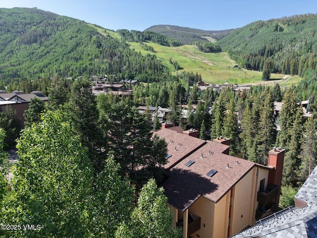 442 S Frontage Rd E Unit 306B, Vail, CO 81657 - photo 16