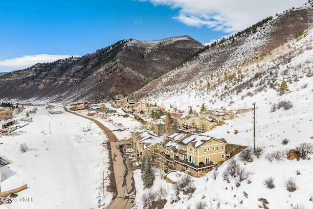 107 Lions Ln, Minturn, CO 81645 - property view of mountains