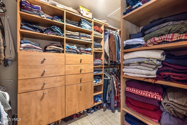 107 Lions Ln, Minturn, CO 81645 - view of spacious closet