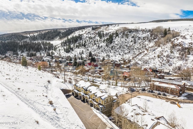 107 Lions Ln, Minturn, CO 81645 - exterior space with a mountain view
