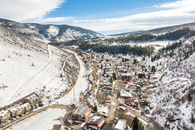 107 Lions Ln, Minturn, CO 81645 - snowy aerial view featuring a mountain view