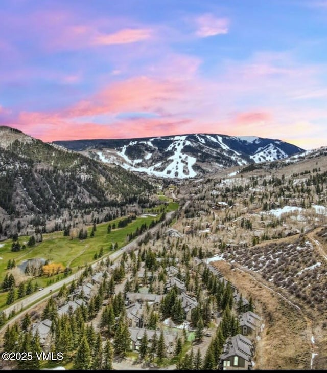 000149 Willis Pl Unit 140, Beaver Creek, CO 81620 - mountain view