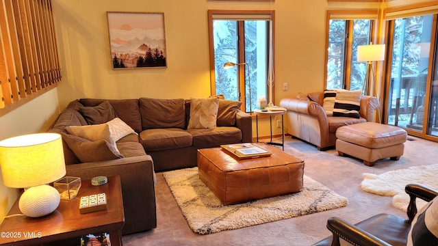 000149 Willis Pl Unit 140, Beaver Creek, CO 81620 - view of carpeted living room
