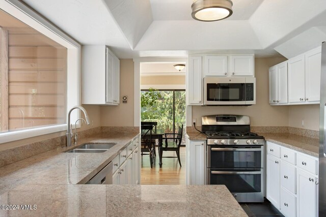 kitchen featuring sink, white cabinetry, stainless steel appliances, a tray ceiling, and light stone countertops