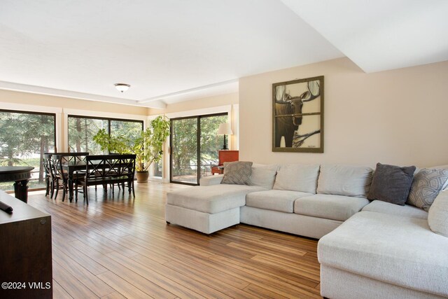 living room with light hardwood / wood-style flooring