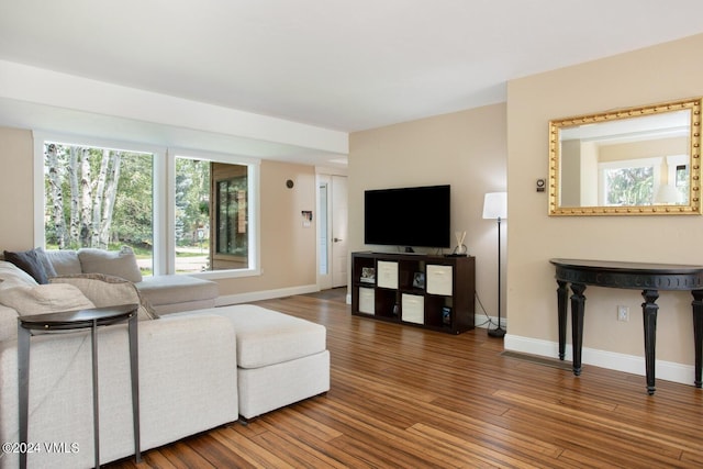 living room featuring hardwood / wood-style floors