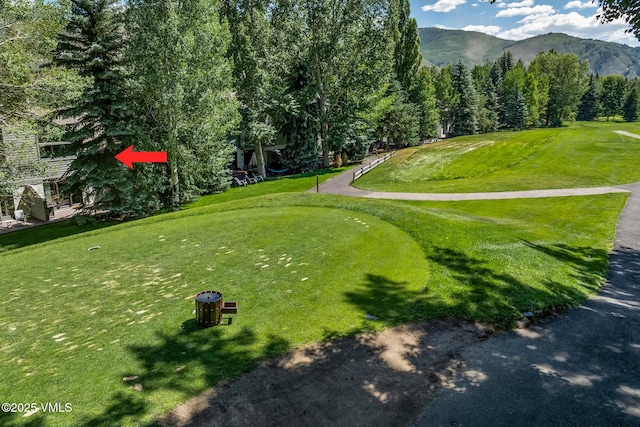 654 Stone Creek Dr # 23, Eagle-Vail, CO 81620 - photo 24