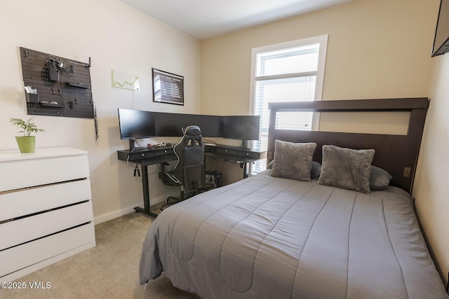 44 Salmon Loop, Gypsum, CO 81637 - carpeted bedroom with baseboards