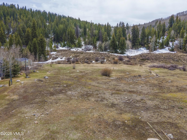1133 Main St, Minturn, CO 81645 - view of landscape featuring a wooded view
