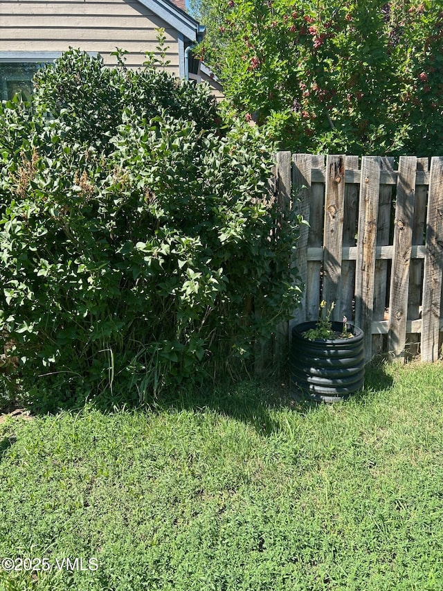 425 Howard St, Eagle, CO 81631 - view of yard