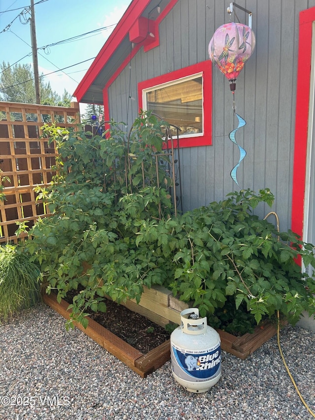 425 Howard St, Eagle, CO 81631 - exterior view of a garden