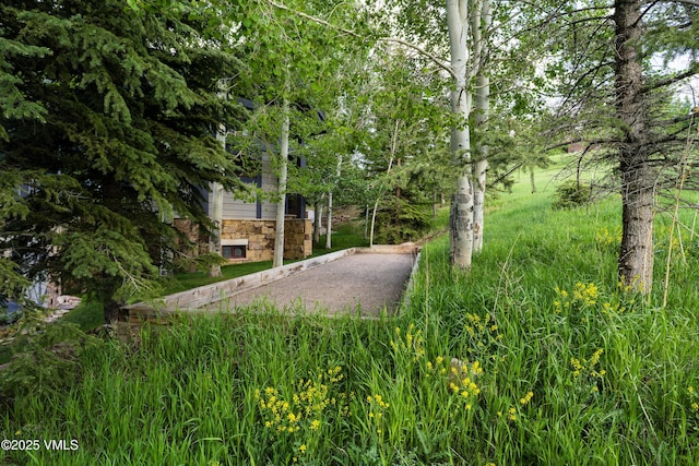 25 Stag Gulch Ct, Edwards, CO 81632 - photo 23