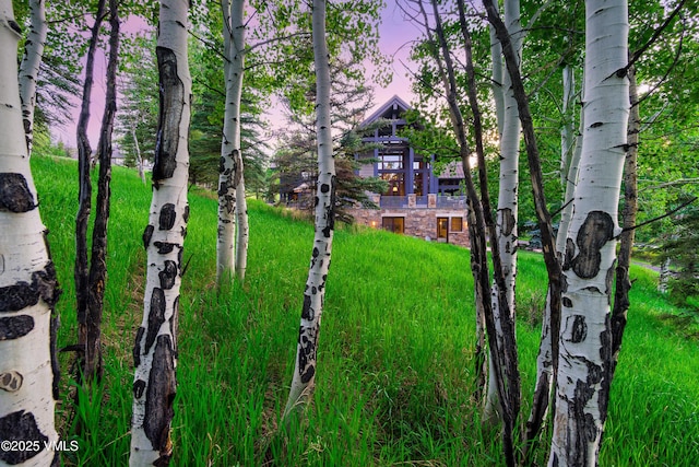 25 Stag Gulch Ct, Edwards, CO 81632 - photo 2