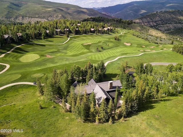 25 Stag Gulch Ct, Edwards, CO 81632 - photo 59