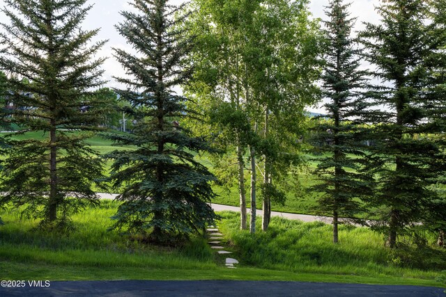25 Stag Gulch Ct, Edwards, CO 81632 - photo 60