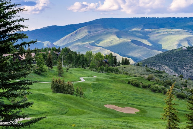 25 Stag Gulch Ct, Edwards, CO 81632 - photo 24