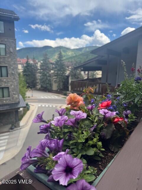 707 W Lionshead Cir Unit B-6, Vail, CO 81657 - photo 14