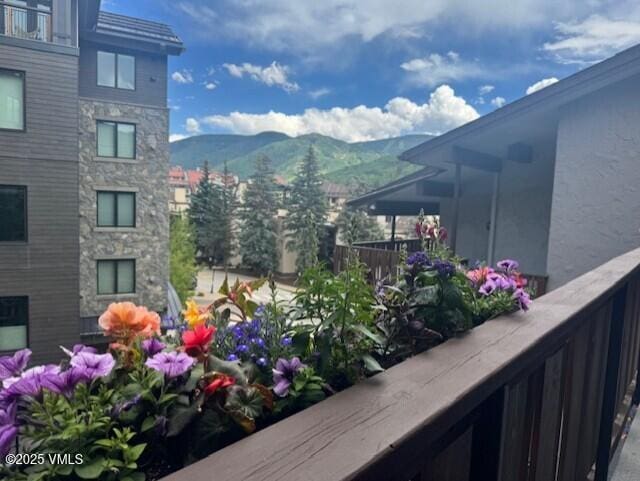707 W Lionshead Cir Unit B-6, Vail, CO 81657 - photo 13