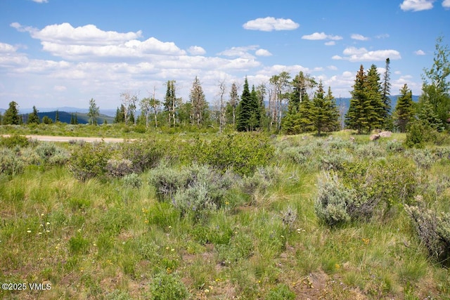 1334 Gore Trl, Edwards, CO 81632 - photo 3