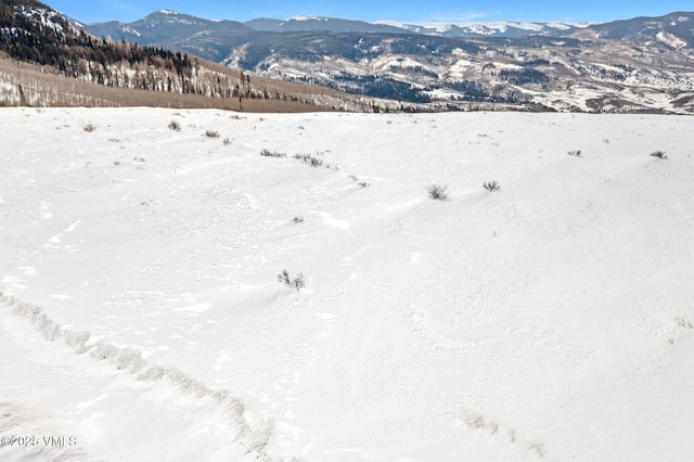 1334 Gore Trl, Edwards, CO 81632