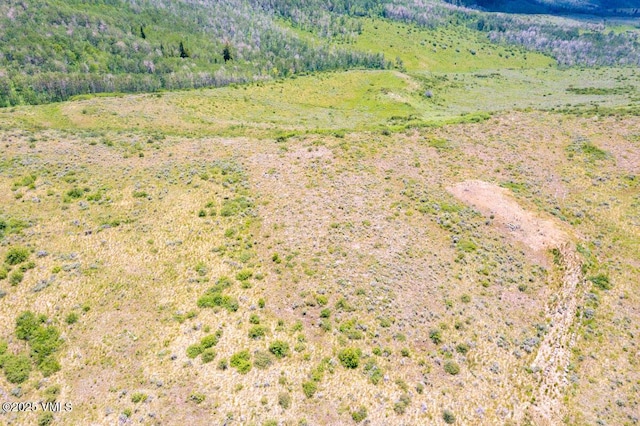 1334 Gore Trl, Edwards, CO 81632 - photo 13