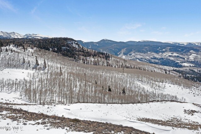 1334 Gore Trl, Edwards, CO 81632