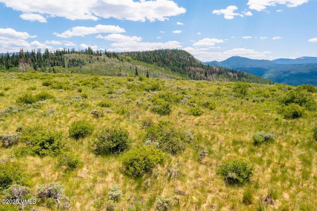 1334 Gore Trl, Edwards, CO 81632 - photo 2