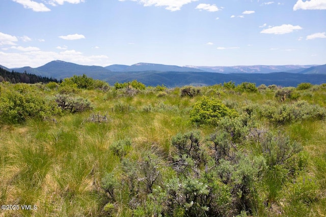 1334 Gore Trl, Edwards, CO 81632 - photo 8