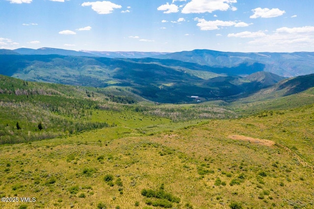 1334 Gore Trl, Edwards, CO 81632 - photo 9