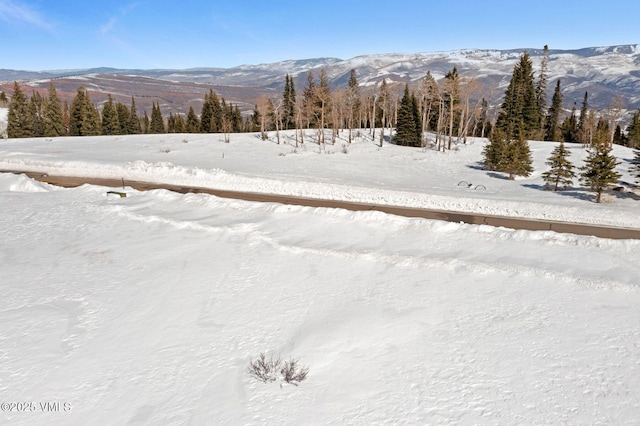1334 Gore Trl, Edwards, CO 81632