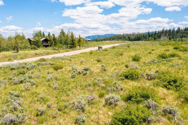 1334 Gore Trl, Edwards, CO 81632 - photo 15