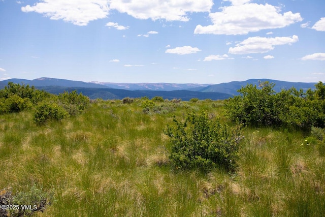 1334 Gore Trl, Edwards, CO 81632 - photo 4