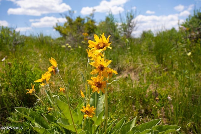 1334 Gore Trl, Edwards, CO 81632 - photo 6