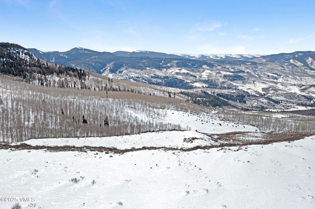 1334 Gore Trl, Edwards, CO 81632