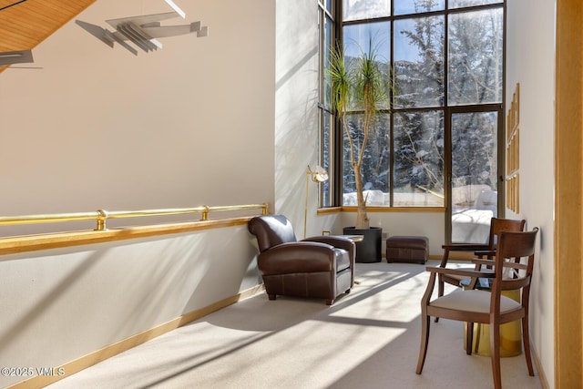 sitting room with light colored carpet