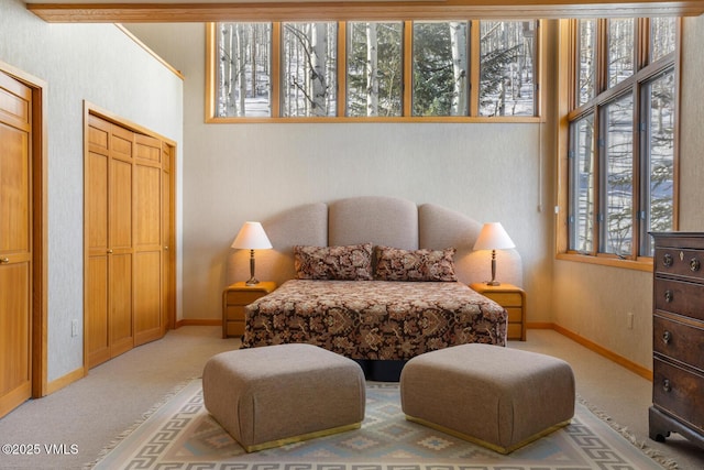 carpeted bedroom with multiple windows and two closets